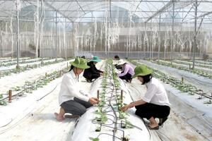 Giáo dục ưu tiên đào tạo các ngành đang 'khát' nhân lực chất lượng cao