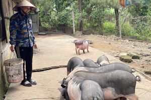 Mỗi sản phẩm OCOP là một "đại sứ" vùng miền