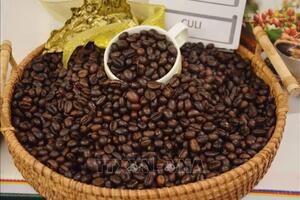 Bản tin nông sản hôm nay (6-12): Giá cà phê trong khoảng 102.800 - 103.500 đồng/kg