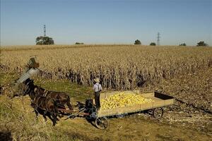 Thuế quan của Mỹ: Washington công bố gói hỗ trợ dành cho nông dân bị ảnh hưởng