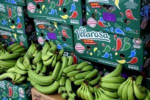 Algeria mời doanh nghiệp Việt Nam tham gia cung cấp chuối quả