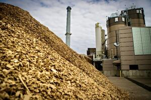 Chấp thuận chủ trương đầu tư Dự án Nhà máy điện sinh khối An Giang 1