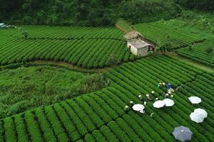 Doanh nghiệp nhỏ trước yêu cầu xuất xứ khi vào thị trường EU