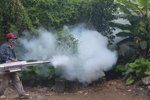 Hà Nội: Tăng cường công tác phòng, chống các loại dịch bệnh