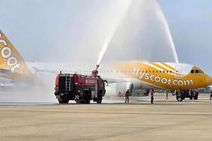 Nhiều hãng hàng không tăng tần suất bay đến Đà Nẵng dịp Tết 2026