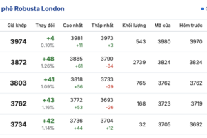 Giá cà phê hôm nay 25/12/2025: Bật tăng mạnh mẽ