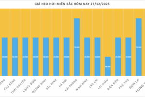 Giá heo hơi hôm nay 27/12/2025: Giảm nhiều nơi