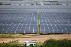 Mặt trái của sự bùng nổ năng lượng sạch