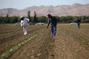 Mỹ củng cố nền nông nghiệp giữa những thách thức