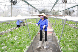 Đẩy mạnh sản xuất và tiêu dùng bền vững trên địa bàn thành phố Hà Nội