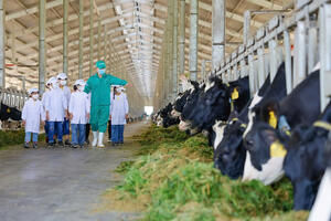 Thị trường nội địa quyết định sức bật của ngành chăn nuôi