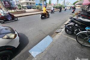 An Giang: Tái diễn tình trạng ô nhiễm môi trường do chim én tại Công viên Nguyễn Trung Trực