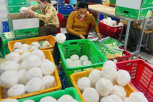 Top đầu xuất khẩu dừa, Việt Nam vẫn loay hoay bài toán giá trị