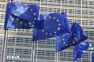 EU sẵn sàng tự vệ trước mọi hình thức cưỡng ép