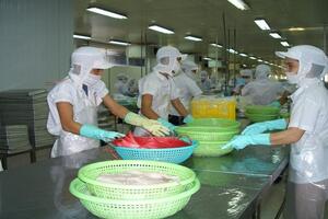 Xuất khẩu thủy sản vượt 11,3 tỷ USD, nâng chuẩn cạnh tranh bền vững