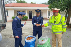 Lạng Sơn: Quyết liệt đẩy mạnh chống buôn lậu, hàng giả dịp Tết 2026