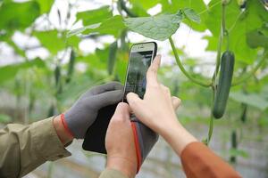 Thế hệ trẻ và sứ mệnh 'cầu nối' chuyển đổi số trong nông nghiệp