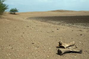 Liên Hợp Quốc cảnh báo kỷ nguyên cạn kiệt nước
