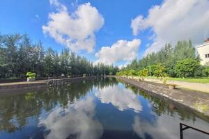 Nhiệt điện Hải Phòng đảm bảo cung cấp điện an toàn, ổn định năm 2026