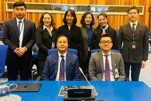 Việt Nam kêu gọi các nước sớm ký và phê chuẩn Công ước Hà Nội