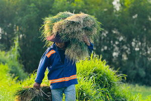 Quảng Ngãi: Thủ phủ kiệu Long Yên thắng lớn vụ Tết