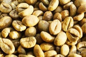 Giá cà phê thế giới lao dốc mạnh trước áp lực nguồn cung từ Brazil