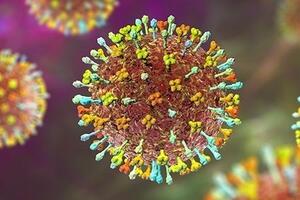 Bộ Y tế yêu cầu bảo đảm an toàn thực phẩm trong phòng, chống bệnh do virus Nipah