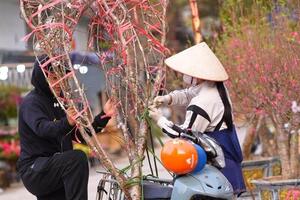 Hoa, cây cảnh bán dạo hút khách dịp cận Tết