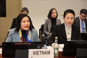 Việt Nam cam kết chiến lược xóa bỏ mọi hình thức phân biệt đối xử chống lại phụ nữ