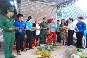 Đấu tranh phòng, chống tội phạm vùng biên