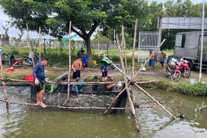 Giá cá tra ổn định nhiều tháng, người nuôi kỳ vọng vụ mới