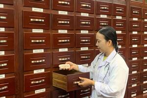 Kết hợp y học cổ truyền và hiện đại cho 16 bệnh phổ biến