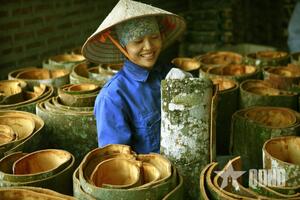 Mở rộng thị trường cho cây quế Lào Cai