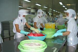 Xung đột Trung Đông: Doanh nghiệp thủy sản đối mặt rủi ro logistics