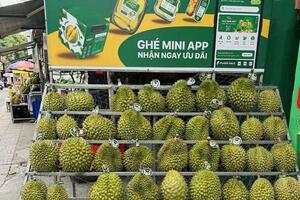 Sầu riêng Ri6 lên ngôi giữa lúc thị trường khan hiếm hàng cao cấp