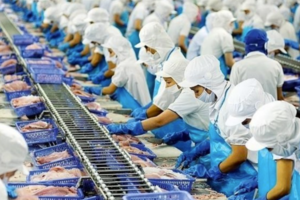 Vĩnh Hoàn tiếp tục bị nhắc nhở vì chậm nộp Báo cáo tài chính
