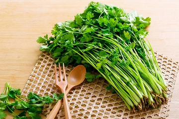 Rau mùi – thảo dược chữa nhiều bệnh