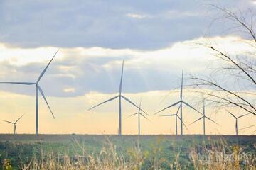 Gia Lai sẽ có thêm loạt dự án điện gió nghìn tỷ đồng
