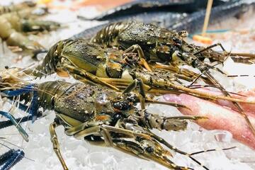 Doanh nghiệp cần làm gì để giữ lợi thế của ngành tôm tại EU?