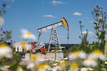 Giá xăng dầu hôm nay (27-2): Biến động mạnh