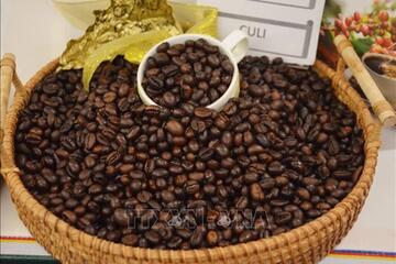 Bản tin nông sản hôm nay (4-3): Giá cà phê tăng nhẹ