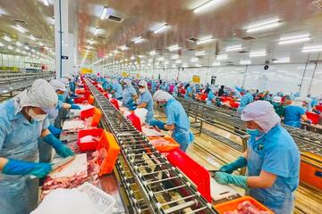 ‏Tiền tệ và tài khóa: Tạo “lá chắn” cho xuất khẩu nông sản ‏