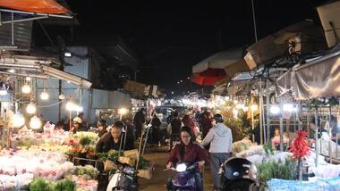Hà Nội: Chợ hoa Quảng An nhộn nhịp, giá tăng cao dịp 8/3