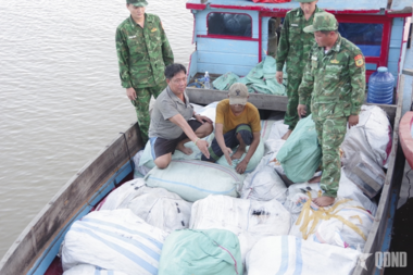 Bộ đội Biên phòng tỉnh Vĩnh Long phát hiện, thu giữ hơn 5 tấn sản phẩm nghi từ động vật hoang dã