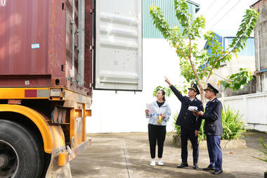 Tăng cường kiểm soát đá nhân tạo, gạch ốp lát nhập khẩu