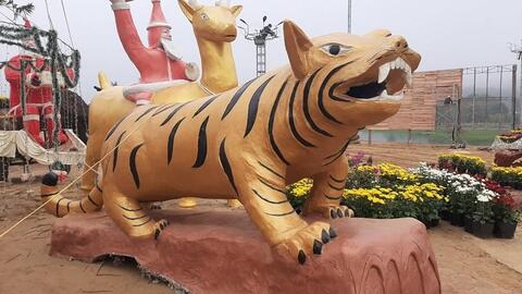 Hình ảnh linh vật “cẩu hổ” gây xôn xao dư luận tại Thanh Hóa