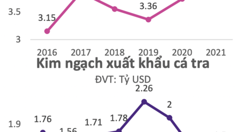 EVS dự phóng chỉ số VN-Index có thể "rơi" về 1.424 điểm nếu mất mốc 1.470