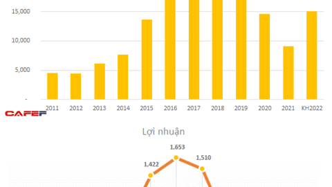 Lợi nhuận 2021 sụt giảm 93% xuống 24 tỷ đồng, Coteccons gây bất ngờ khi đặt kế 2022 thậm chí còn thấp hơn