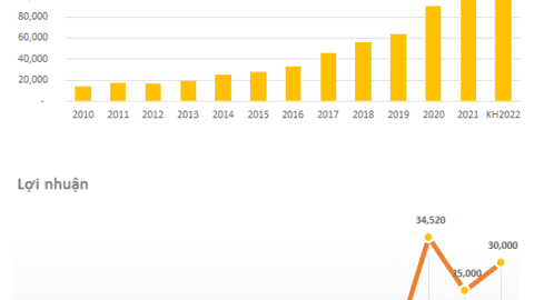 Hoà Phát trả cổ tức 2021 tỷ lệ 35%, năm 2022 đặt kế hoạch doanh thu 160.000 tỷ, lợi nhuận giảm