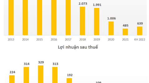 Sau 2 năm lỗ lớn, Vinasun (VNS) bổ nhiệm tân Tổng giám đốc trong bối cảnh “bằng mọi giá phải có lãi”